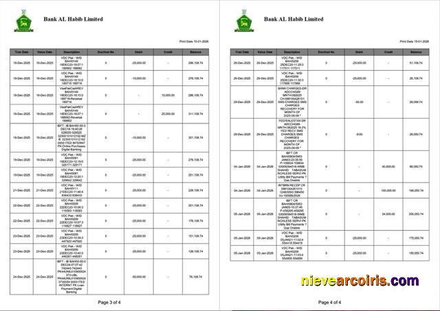 Pakistan Bank Al Habib statement of account Word and PDF, 4 pages, 3-4 pages